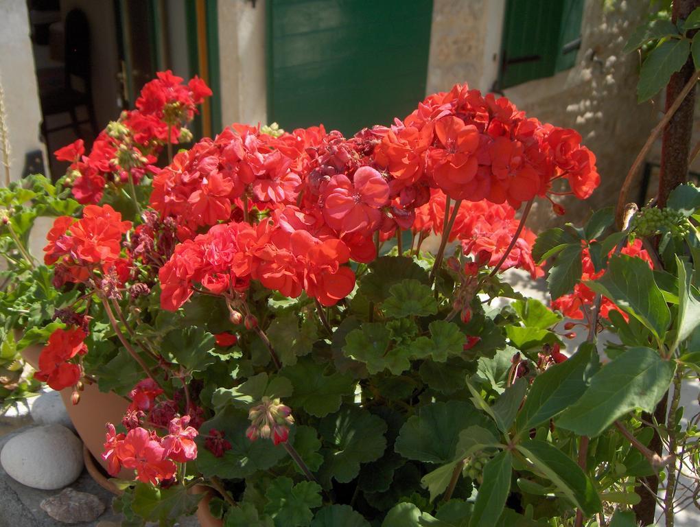 Guest House Lucijo Врбоска Екстериор снимка